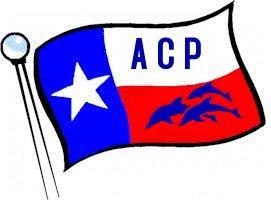 Allen Civil Process logo
