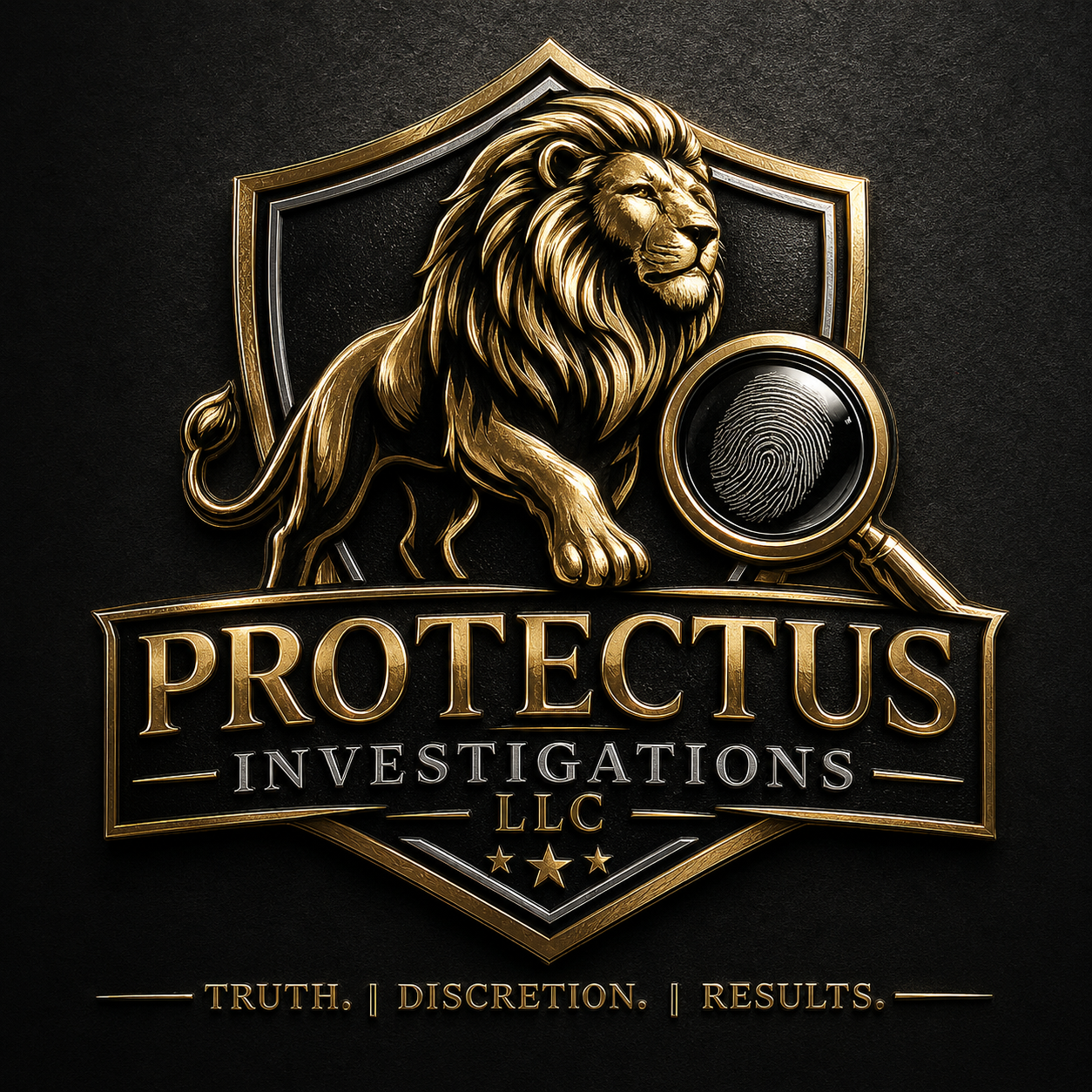 Protectus Investigations LLC logo